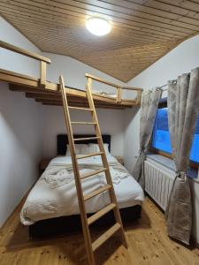 a bunk bed in a room with a ladder at Rustica Apartments in Maribor