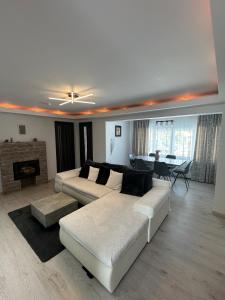 a living room with a couch and a fireplace at CosAlpin Apartament in Cîrlibaba