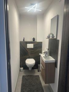 a bathroom with a white toilet and a sink at CosAlpin Apartament in Cîrlibaba