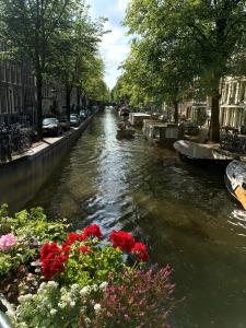 Gallery image of Prince Royal B&B in Amsterdam