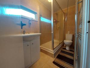 a bathroom with a sink and a shower and a toilet at Private Home Grays in Orsett