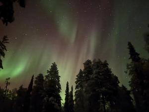 an aurora dances in the sky over trees at Holiday Home Tervakko by Interhome in Luosto