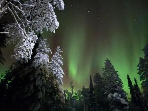 an aurora dances in the sky over trees at Holiday Home Tervakko by Interhome in Luosto