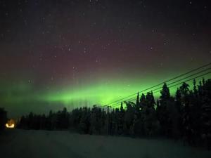 an aurora shines in the sky over a forest of trees at Holiday Home Tervakko by Interhome in Luosto