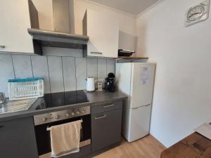 a kitchen with a stove and a refrigerator at Apartment Krummnußbaum, Donau & Wachau in Krumnussbaum an der Donauuferbahn