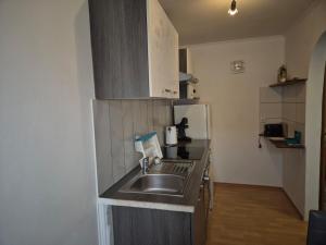 a small kitchen with a sink and a refrigerator at Apartment Krummnußbaum, Donau & Wachau in Krumnussbaum an der Donauuferbahn +12 photos