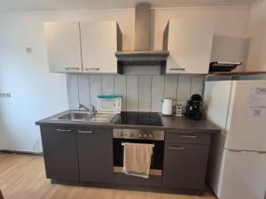 a kitchen with a stove and a sink and a refrigerator at Apartment Krummnußbaum, Donau & Wachau in Krumnussbaum an der Donauuferbahn