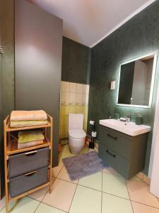 a bathroom with a sink and a toilet at Forest house with outdoor hot tub in Jūrmala +30 photos