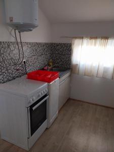 a small kitchen with a stove and a sink at Studio apartman u ruralnom okruženju in Donji Karin