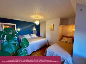 a hotel room with two beds and a plant at Le Chant des Sources, Gîtes et Chambres d'hôtes avec Vue, à Gimel-les-Cascades in Gimel
