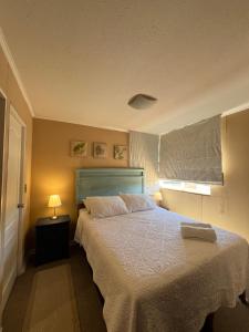 a bedroom with a bed with a blue headboard and a window at Cómodo departamento en Curicó in Curicó