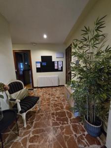 a living room with a large plant and a tv at O Parrandeiro in Padrón