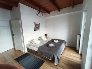 a bedroom with a bed and a wooden floor at Villa Terra in Nałęczów
