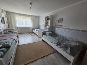 a bedroom with two beds and a couch in it at Ferienwohnung Waldbach in Arrach