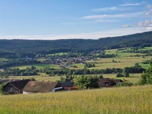 a view of a small town in a green field at Ferienwohnung Waldbach in Arrach