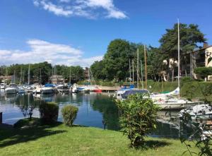 a marina with boats parked in the water at La Mouette de Ripaille in Thonon-les-Bains