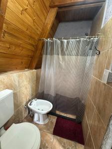 a small bathroom with a toilet and a shower at Ventana al Champaqui in Yacanto
