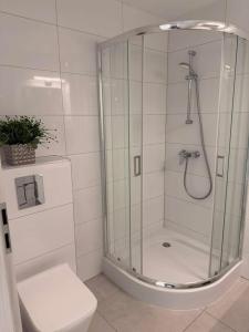 a bathroom with a shower and a toilet at Apartament Paula SPA Niechorze in Niechorze +8 photos