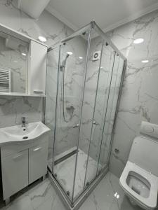 a bathroom with a shower and a sink at Apartman Iva in Foča