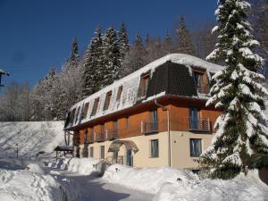 a building covered in snow next to a tree at U Konupy in Ober Lindewiese