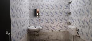 a bathroom with a sink and a toilet and a mirror at Ladies homestay in Jhunjhunūn