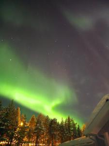 ein Polarlicht am Himmel über einem Wald mit Bäumen in der Unterkunft Ailotar in Inari