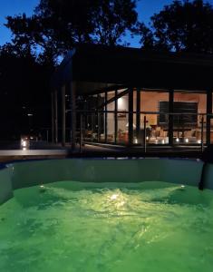 a pool of green water in front of a building at Sheelin Lake House in Cavan