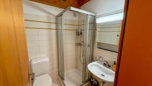 a bathroom with a shower and a toilet and a sink at PlanB Stay in Samedan
