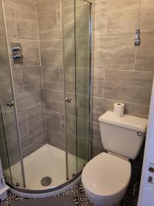 a bathroom with a toilet and a shower at Little Brookfield in Lymington +13 photos