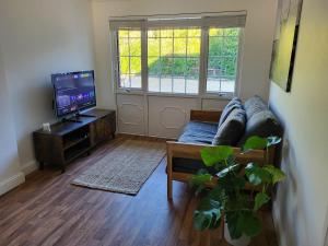 a living room with a couch and a tv at Little Brookfield in Lymington