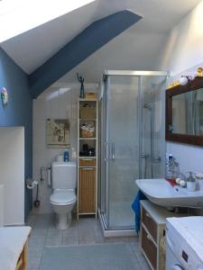 a bathroom with a shower and a toilet and a sink at Villa Art'è in Locarno +69 photos