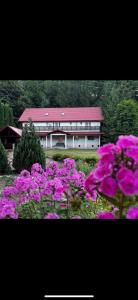 a building with pink flowers in front of it at Vacation villa Sucevița in Suceviţa