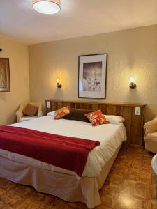a bedroom with a large bed in a room at Hotel Vallibierna in Benasque