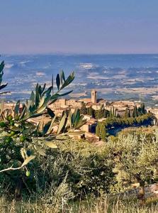 a view of a city from the top of a hill at Orlando House 1975 in Montecchio