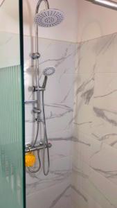 a shower with a shower head in a bathroom at Villa Eden hibiscus in Petit-Canal