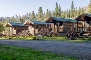 a row of log cabins in a forest at Yosemite Lakes Cabin & Cottages in Harden Flat
