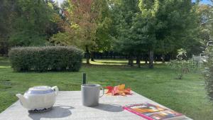 a table with a cup and a tea pot on it at Les Gîtes du Domaine de Ludeye in Listrac-Médoc
