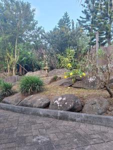a garden with rocks and plants and trees at Pieter Both Mountain Lodge in La Laura