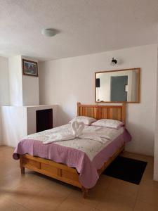 a bedroom with a bed and a mirror on the wall at Hotel Hacienda Real, Villa in Villa del Carbón