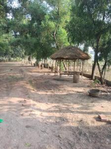 a hut in the middle of a dirt road with trees at CHAYAA BITHII Resort & Restaurant in Kopāi