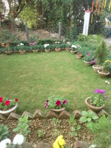 a bunch of pots of flowers in a yard at CHAYAA BITHII Resort & Restaurant in Kopāi +1 photo