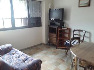 a living room with a couch and a table and a tv at Maison au tilleul in Ribiers