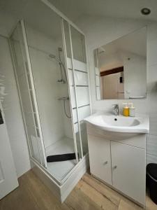 a white bathroom with a sink and a shower at Appart cosy mansardé Dijon gare 1km animaux acceptés in Dijon +10 photos