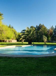 a large swimming pool in a park with trees at Antu Wellness cabaña de lujo en paine in Maipo