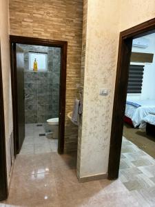 a bathroom with a shower and a toilet in a room at New Roman's kingdom in Madaba