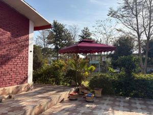 a patio with a purple umbrella and some plants at The ROYAL OASIS in Khetri