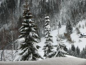 Fotografia z galérie ubytovania Winterfell v destinácii Sankt Anton am Arlberg