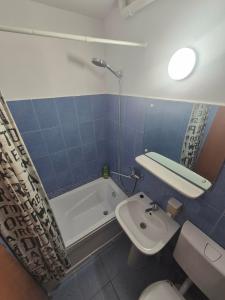 a bathroom with a tub and a toilet and a sink at Alexandra Home in Mediaş