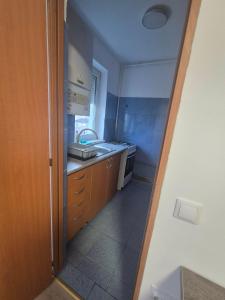 a small kitchen with a sink and a stove at Alexandra Home in Mediaş