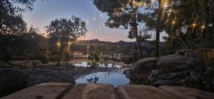 a view of a pond in a park at sunset at Oasi conca d'oro glamping in Noto +33 photos